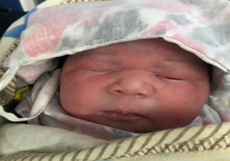 Sweet Memory of IVF Center